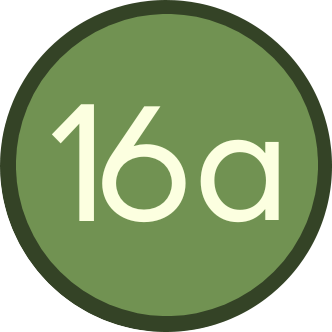 16a